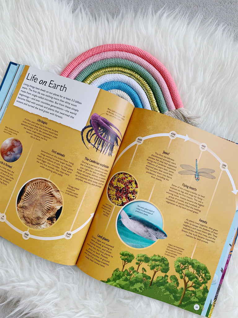 Life Cycles : Everything from Start to Finish