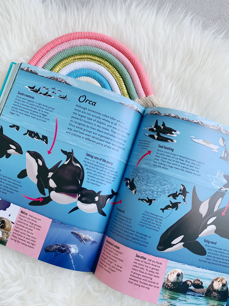 Water Cycles: The Source of Life from Start to Finish