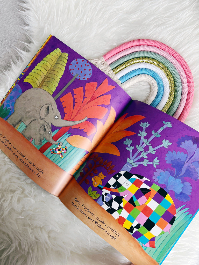 Elmer and the Lost Teddy