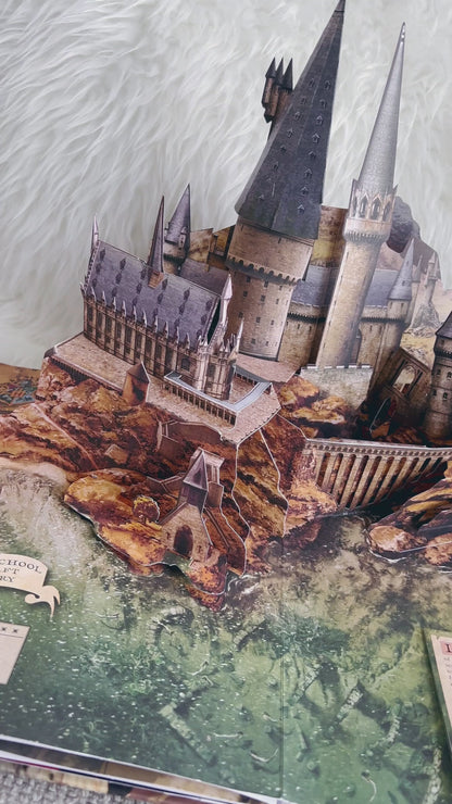 Harry Potter: A Pop-Up Book: Based on the Film Phenomenon