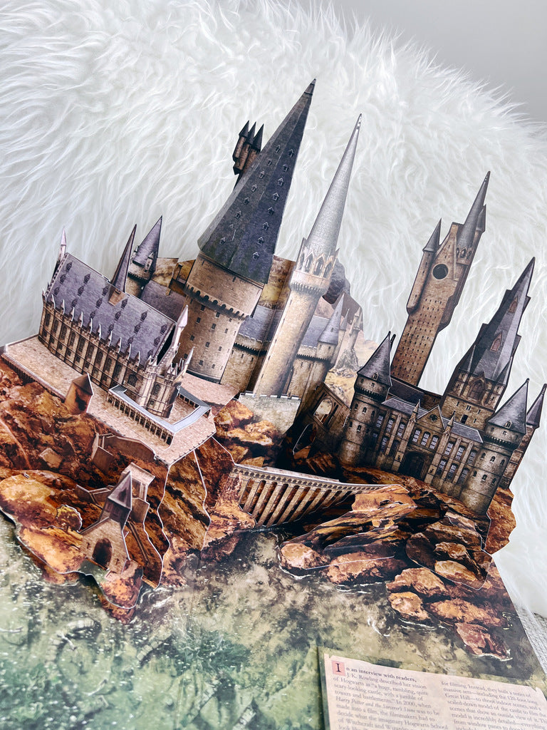 Harry Potter: A Pop-Up Book - Amazing 3D pop-ups. 